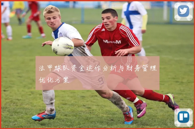 法甲球队资金运作分析与财务管理优化方案