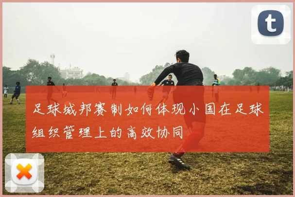 足球城邦赛制如何体现小国在足球组织管理上的高效协同